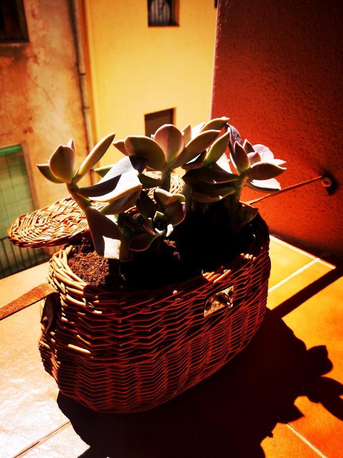 Cornu Karma Apartment Siuranella Cornudella de Montsant Bagian luar foto